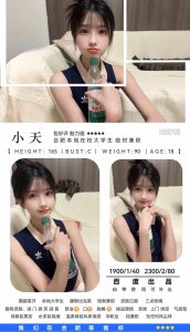 百度-小天-司机精选