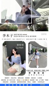 百度-李木子-司机精选