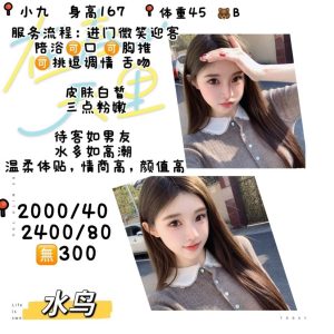 水鸟-小九-司机精选