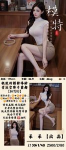 呆呆-林雪婷-司机精选