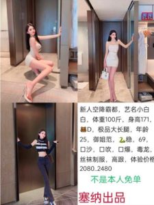 塞纳-小白-司机精选