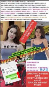 无认区-双儿-司机精选