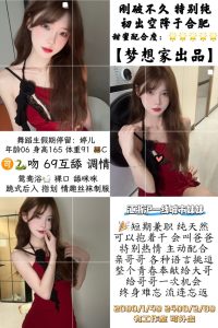 梦想家-婷儿-司机精选