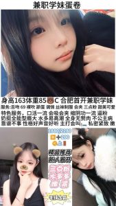 毛孩-蛋卷-司机精选