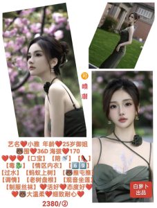 白萝卜-小雅-司机精选