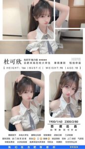 百度-杜可欣-司机精选